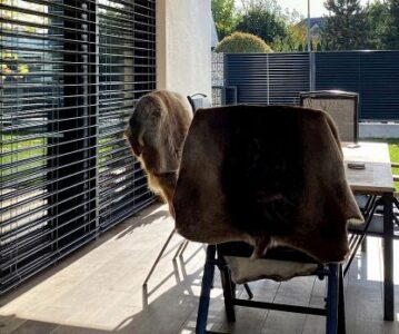 Roltek.hr – Rješenja za sjenčanje i ugodan boravak na jednom mjestu